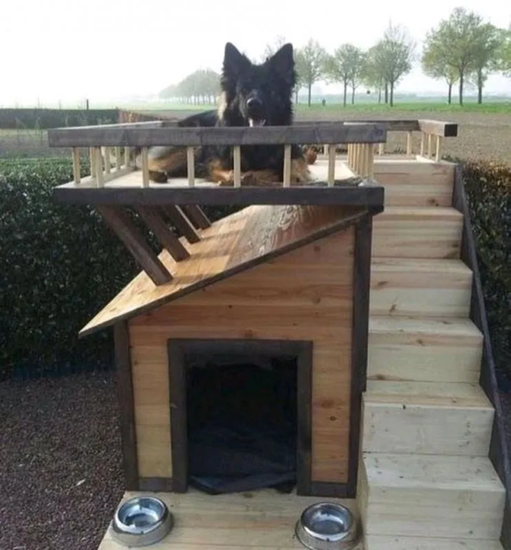 Будка для собаки с открывающейся крышей