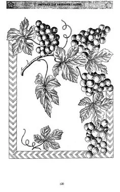 (3) Gallery.ru / Фото #119 - Том 1 часть1 - belief Leaf Template Printable, Vine And Branches, Fruits Drawing, Thanksgiving Coloring Pages, Wood Burning Crafts, Wine Art, Fashion Illustration Sketches