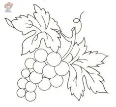 ça change un peu des fleurs lol !!! Embroidery Patterns Free, Free Machine Embroidery, Embroidery Stitches, Fruit Coloring Pages, Colouring Pages, Coloring Books, Raisin