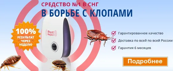 Народные средства от клопов - banner-klop