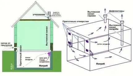 Схема подпола в доме и гараже