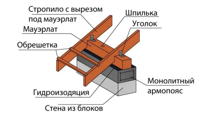 Что такое мауэрлат