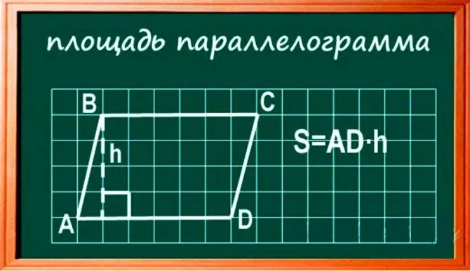 Как рассчитать площадь участка