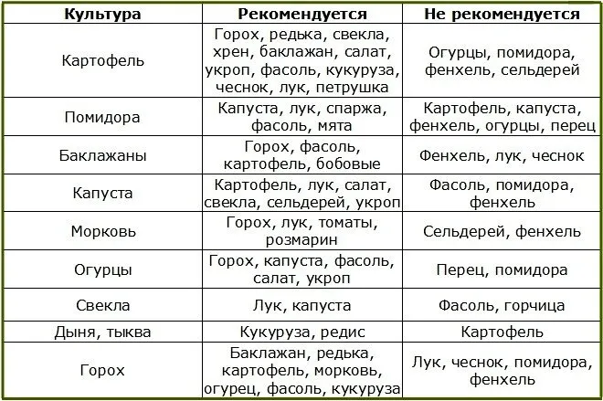 Правильное размещение овощных культур