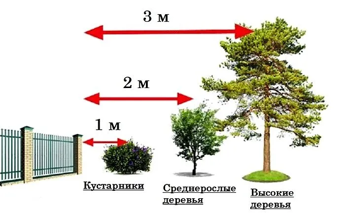 Разбивка сада на участке