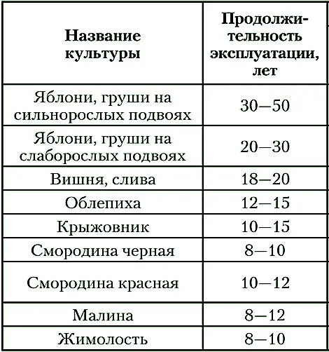 Продолжительность плодоношения плодовых деревьев