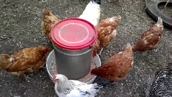 _