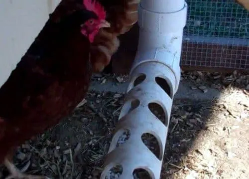 _