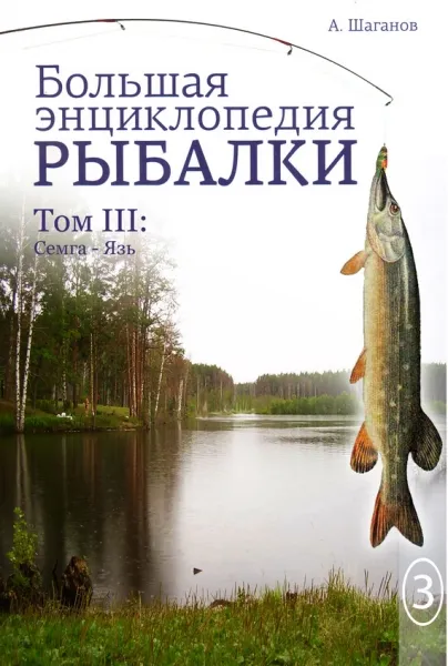 Читать книгу «Большая энциклопедия ... Читать книгу «Большая энциклопедия ...